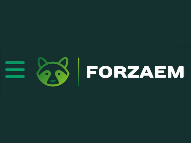 Лого Forzaem