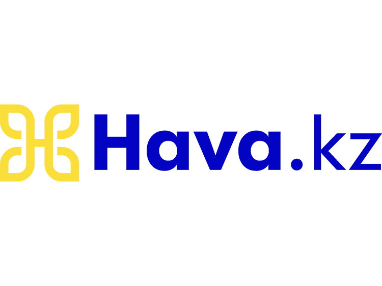 Лого Hava